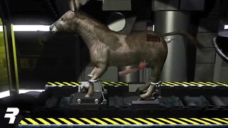 Human transformation in donkey - 9 image