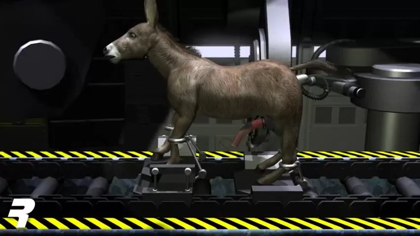 Human transformation in donkey watch online