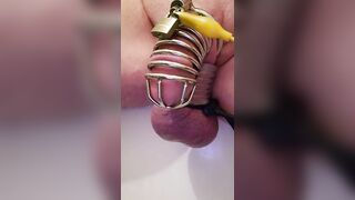 Chastity slave 27 day cum release - 5 image