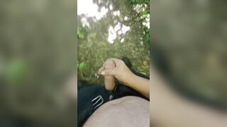Out for a walk, cock out - 3 image