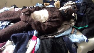 Mohair Bear Costume, sweater fetish, cum shot, gay bear fetish, vibrator, cum on underwear - 4 image