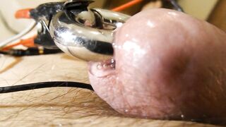 00 Gauge PA cock electro cum