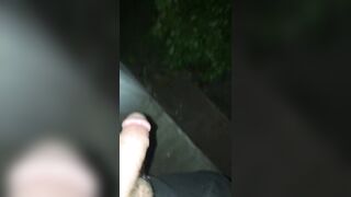 Stud Late Night Piss Off the Front Porch - 10 image
