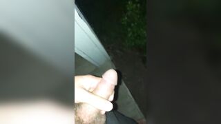 Stud Late Night Piss Off the Front Porch - 6 image