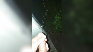 Stud Late Night Piss Off the Front Porch - 9 image