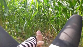 A visit to the village. Sissy fag masturbates while waiting for some strangers in the cornfield - 6 image