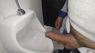 Hard dick in the mall's bathroom - 1 image