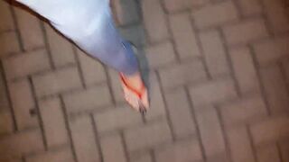crossdresser with very sexy feet in platfom flipflops - 5 image