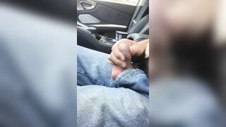 Driving With My Small Penis Exposed - 6 image