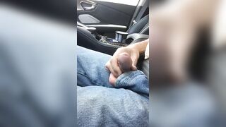 Driving With My Small Penis Exposed - 7 image