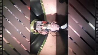 Electrostimulation + sperm ejaculation - 3 image