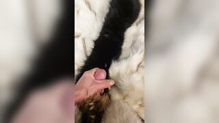 Fox fur fetish cum fluffy collar masterbation - 1 image