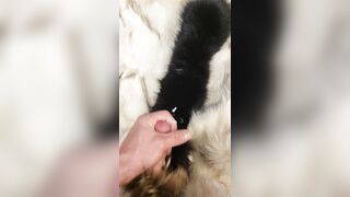 Fox fur fetish cum fluffy collar masterbation - 6 image