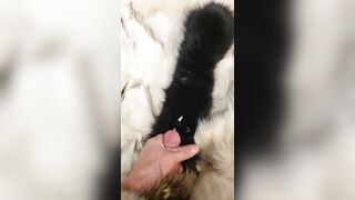 Fox fur fetish cum fluffy collar masterbation - 7 image