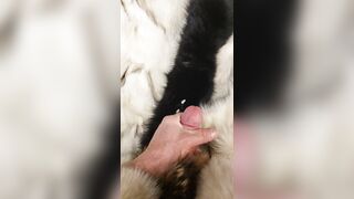 Fox fur fetish cum fluffy collar masterbation - 9 image