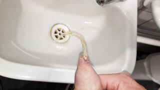 Chub Gainer, Public Bathroom Slut | Pissing Into The Sink - 7 image