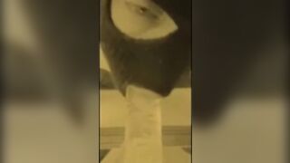 Masked cuckold sissy training compilation - 6 image
