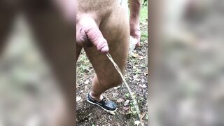 Pissing during a naked hike - 3 image