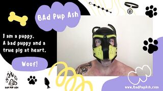 Pup Ash Breeds & Seeds a Twink - 2 image