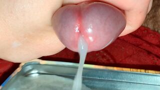 Slowly oozing cum while edging, then releasing big mighty huge load in metal tray, super extreme close-up cumshot, sperm - 1 image