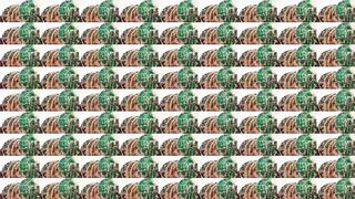 Black college boy twerking after class in purple lace - 1 image