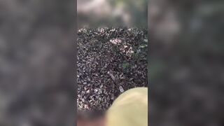 Another married man in the woods - 4 image