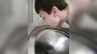 Twink fag licks multiple public toilets sissyfaggotbilly - 7 image