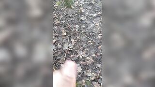 Wanking, peeing and getting caught in woods - 2 image