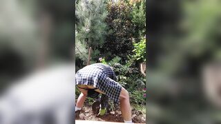 Gardener dad moving bushes - 1 image