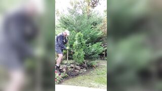 Gardener dad moving bushes - 3 image