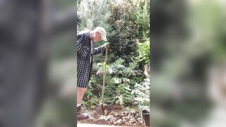 Gardener dad moving bushes - 6 image