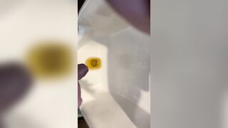 Pee with masturbation and cumshot in urinal