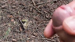 Wanking my cock in the woods - 5 image