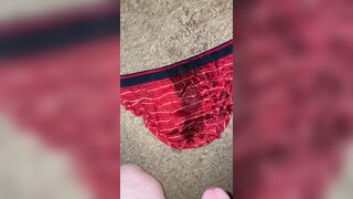Pee on my red briefs and the carpet - 10 image
