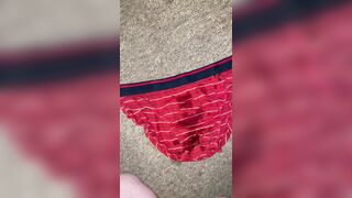Pee on my red briefs and the carpet - 3 image