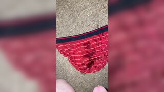 Pee on my red briefs and the carpet - 4 image