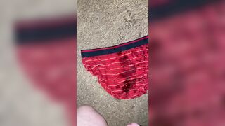 Pee on my red briefs and the carpet - 5 image