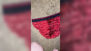 Pee on my red briefs and the carpet - 9 image