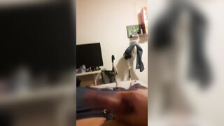 masturbate half hour. come video in fifty seconds - 5 image