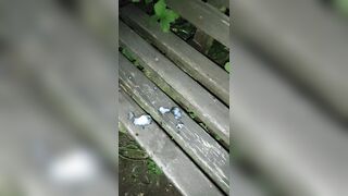 jerkoff Outdoor (with cum) and piss - 1 image