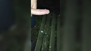 jerkoff Outdoor (with cum) and piss - 10 image