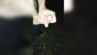 jerkoff Outdoor (with cum) and piss - 3 image