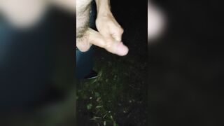 jerkoff Outdoor (with cum) and piss - 5 image