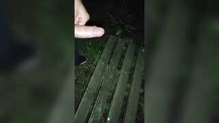 jerkoff Outdoor (with cum) and piss - 8 image