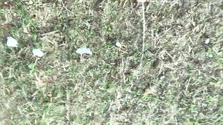 Piss with erection at a cruising area - 5 image