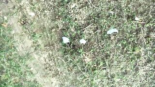 Piss with erection at a cruising area