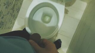 Teen boy pissing in toilet at home / Andris - 1 image
