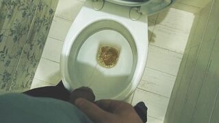 Teen boy pissing in toilet at home / Andris - 10 image
