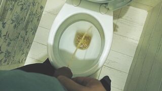 Teen boy pissing in toilet at home / Andris - 7 image