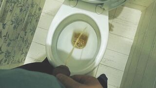 Teen boy pissing in toilet at home / Andris - 8 image